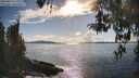 ./images/koeye/fitz-hugh/20260414/fitz-hugh20260414_172001M.jpg