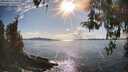 ./images/koeye/fitz-hugh/20260414/fitz-hugh20260414_172502M.jpg