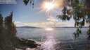 ./images/koeye/fitz-hugh/20260414/fitz-hugh20260414_173501M.jpg