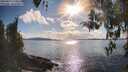 ./images/koeye/fitz-hugh/20260414/fitz-hugh20260414_174501M.jpg