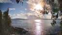 ./images/koeye/fitz-hugh/20260414/fitz-hugh20260414_180502M.jpg