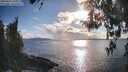 ./images/koeye/fitz-hugh/20260414/fitz-hugh20260414_181001M.jpg