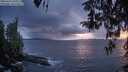 ./images/koeye/fitz-hugh/20260414/fitz-hugh20260414_205001M.jpg