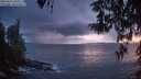 ./images/koeye/fitz-hugh/20260414/fitz-hugh20260414_205501M.jpg