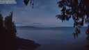 ./images/koeye/fitz-hugh/20260415/fitz-hugh20260415_055501M.jpg
