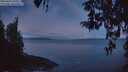 ./images/koeye/fitz-hugh/20260415/fitz-hugh20260415_060001M.jpg