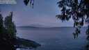 ./images/koeye/fitz-hugh/20260415/fitz-hugh20260415_061001M.jpg