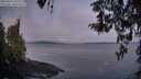 ./images/koeye/fitz-hugh/20260415/fitz-hugh20260415_062502M.jpg