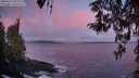 ./images/koeye/fitz-hugh/20260415/fitz-hugh20260415_063001M.jpg