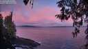 ./images/koeye/fitz-hugh/20260415/fitz-hugh20260415_063501M.jpg