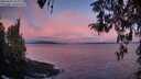 ./images/koeye/fitz-hugh/20260415/fitz-hugh20260415_064002M.jpg