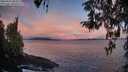 ./images/koeye/fitz-hugh/20260415/fitz-hugh20260415_064501M.jpg