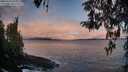 ./images/koeye/fitz-hugh/20260415/fitz-hugh20260415_065001M.jpg