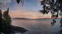 ./images/koeye/fitz-hugh/20260415/fitz-hugh20260415_065502M.jpg