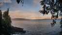 ./images/koeye/fitz-hugh/20260415/fitz-hugh20260415_070001M.jpg