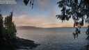 ./images/koeye/fitz-hugh/20260415/fitz-hugh20260415_070501M.jpg