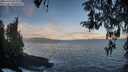 ./images/koeye/fitz-hugh/20260415/fitz-hugh20260415_072001M.jpg