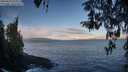 ./images/koeye/fitz-hugh/20260415/fitz-hugh20260415_073001M.jpg