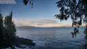 ./images/koeye/fitz-hugh/20260415/fitz-hugh20260415_073501M.jpg