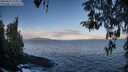 ./images/koeye/fitz-hugh/20260415/fitz-hugh20260415_074001M.jpg