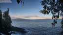 ./images/koeye/fitz-hugh/20260415/fitz-hugh20260415_074501M.jpg