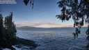 ./images/koeye/fitz-hugh/20260415/fitz-hugh20260415_075001M.jpg