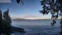 ./images/koeye/fitz-hugh/20260415/fitz-hugh20260415_075501M.jpg