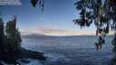 ./images/koeye/fitz-hugh/20260415/fitz-hugh20260415_080001M.jpg