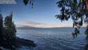 ./images/koeye/fitz-hugh/20260415/fitz-hugh20260415_080501M.jpg