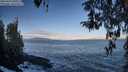 ./images/koeye/fitz-hugh/20260415/fitz-hugh20260415_081001M.jpg