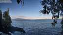 ./images/koeye/fitz-hugh/20260415/fitz-hugh20260415_081502M.jpg