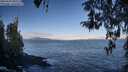 ./images/koeye/fitz-hugh/20260415/fitz-hugh20260415_082001M.jpg