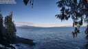 ./images/koeye/fitz-hugh/20260415/fitz-hugh20260415_082501M.jpg
