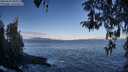 ./images/koeye/fitz-hugh/20260415/fitz-hugh20260415_083001M.jpg