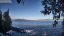 ./images/koeye/fitz-hugh/20260415/fitz-hugh20260415_085501M.jpg