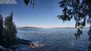./images/koeye/fitz-hugh/20260415/fitz-hugh20260415_091001M.jpg