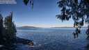 ./images/koeye/fitz-hugh/20260415/fitz-hugh20260415_091501M.jpg