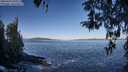 ./images/koeye/fitz-hugh/20260415/fitz-hugh20260415_092002M.jpg