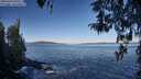 ./images/koeye/fitz-hugh/20260415/fitz-hugh20260415_092501M.jpg