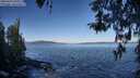 ./images/koeye/fitz-hugh/20260415/fitz-hugh20260415_093001M.jpg