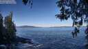 ./images/koeye/fitz-hugh/20260415/fitz-hugh20260415_093501M.jpg