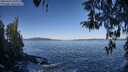 ./images/koeye/fitz-hugh/20260415/fitz-hugh20260415_094001M.jpg
