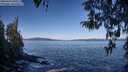 ./images/koeye/fitz-hugh/20260415/fitz-hugh20260415_094501M.jpg