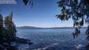 ./images/koeye/fitz-hugh/20260415/fitz-hugh20260415_095501M.jpg