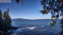 ./images/koeye/fitz-hugh/20260415/fitz-hugh20260415_100501M.jpg