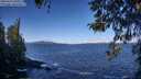 ./images/koeye/fitz-hugh/20260415/fitz-hugh20260415_101001M.jpg