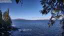./images/koeye/fitz-hugh/20260415/fitz-hugh20260415_102501M.jpg