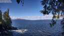 ./images/koeye/fitz-hugh/20260415/fitz-hugh20260415_105002M.jpg