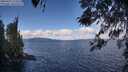 ./images/koeye/fitz-hugh/20260415/fitz-hugh20260415_113501M.jpg
