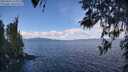 ./images/koeye/fitz-hugh/20260415/fitz-hugh20260415_114001M.jpg